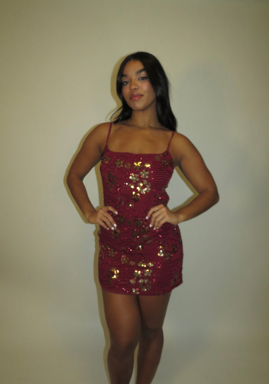 Rosa Dorada Dress