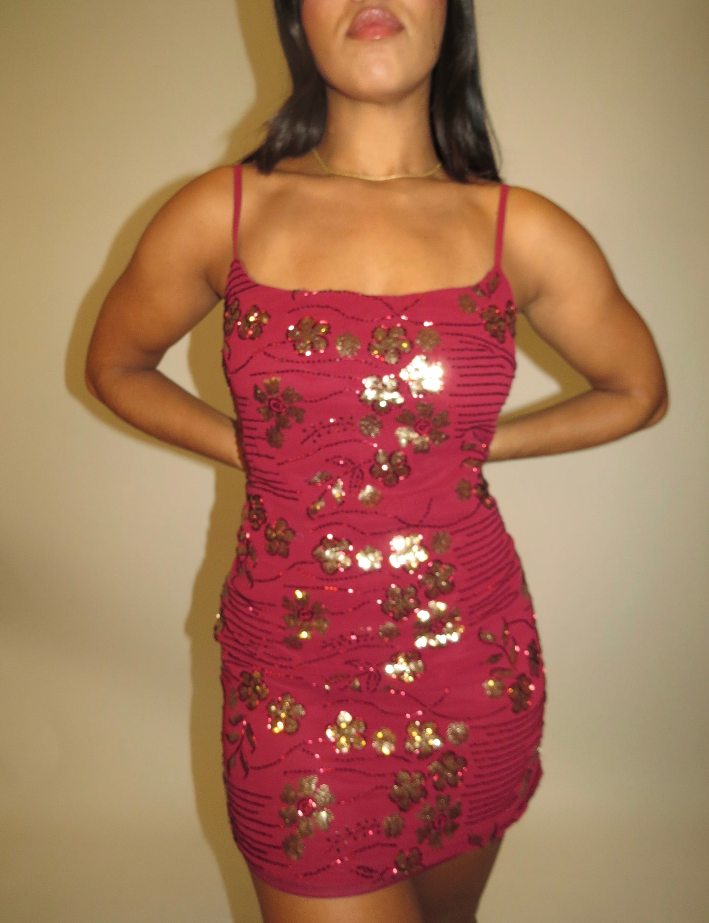 Rosa Dorada Dress